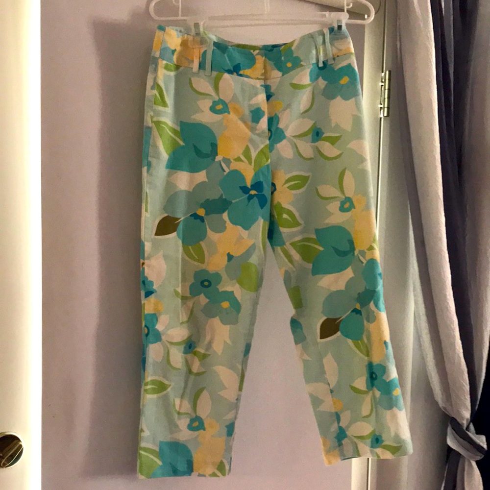 Ann Taylor Loft Stretch